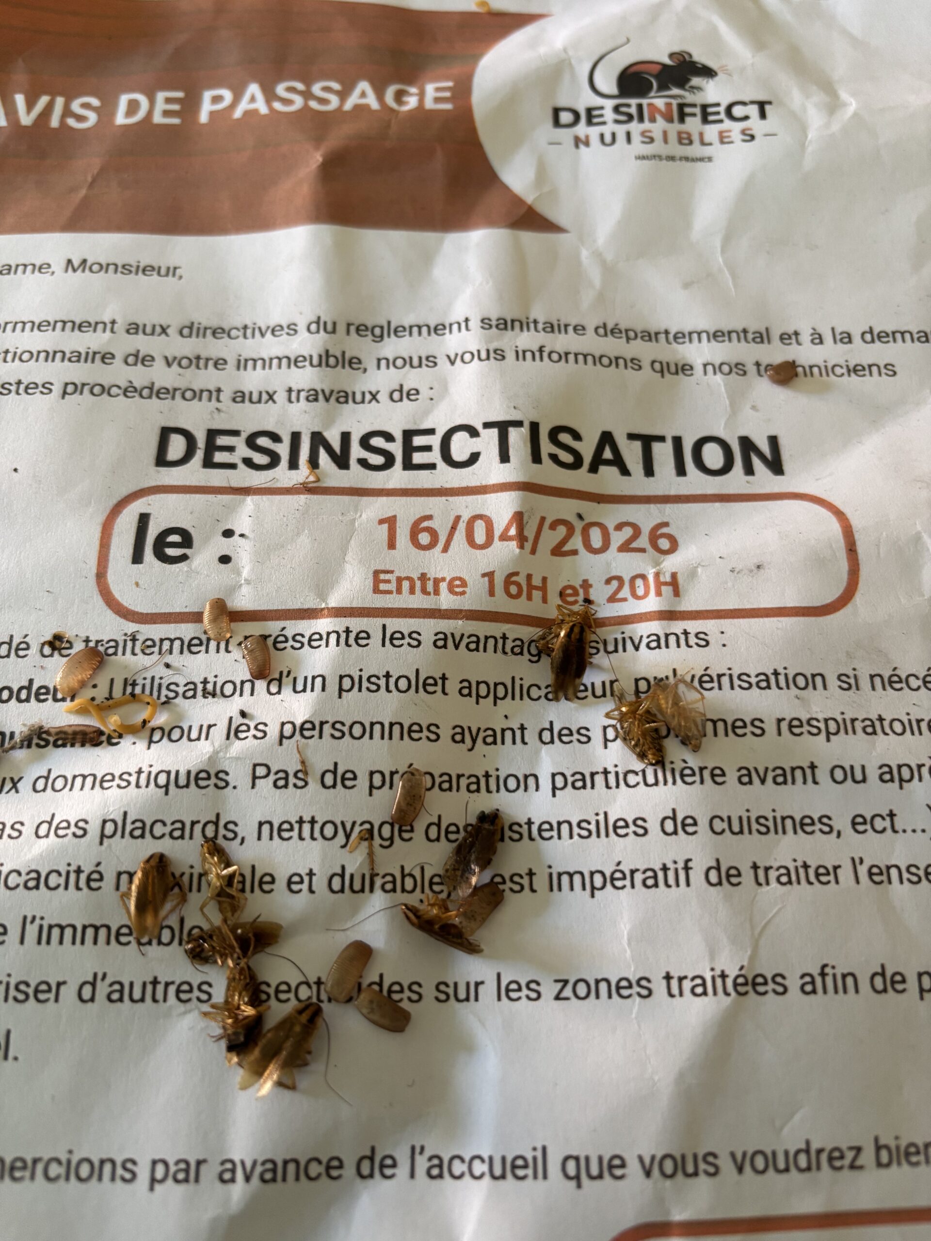 Traitement des cafards Immeuble Arras
